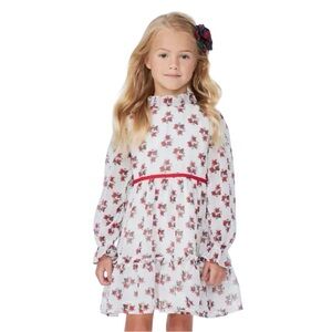 Janie And Jack Holiday Frills Dress Cream And Sugar Rose Lined Size 14